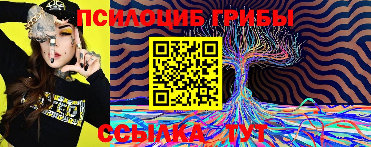 Щёлково  Псилоцибиновые грибы MAGIC MUSHROOMS  Вход с VPN  Галлюциногенные грибы Cubensis 