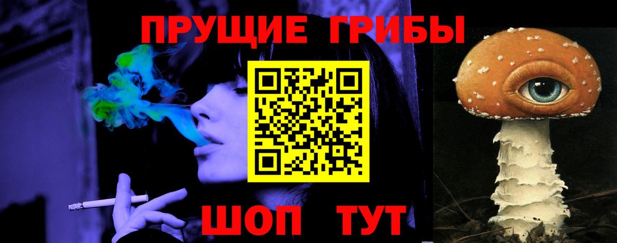Псилоцибиновые грибы Psilocybine cubensis Щёлково